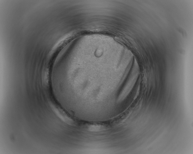 X0000113590400200910091504