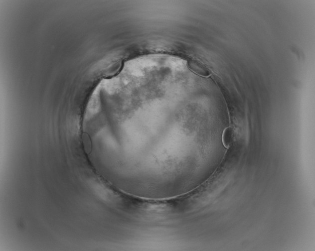 X0000113590401200910091504