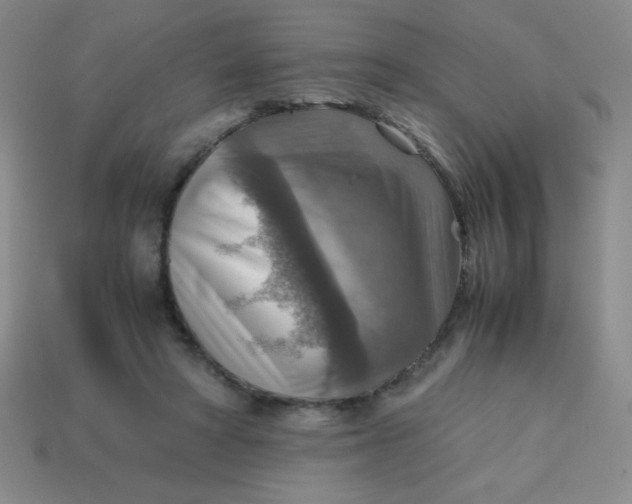 X0000113590402200910091504