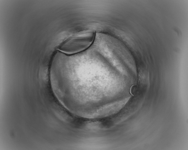 X0000113590403200910091504