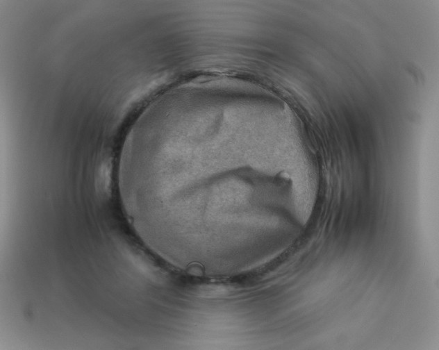 X0000113590404200910091504