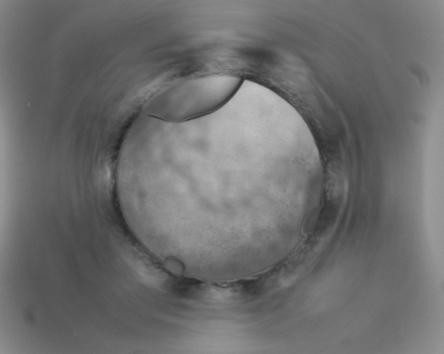 X0000113590405200910091504