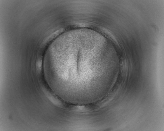 X0000113590406200910091504