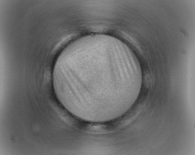 X0000113590407200910091504