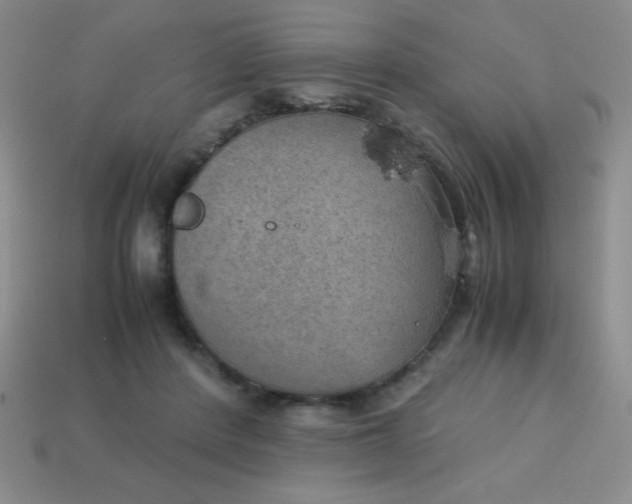 X0000113590408200910091504