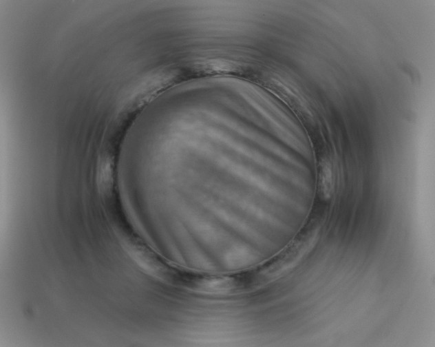 X0000113590410200910091504