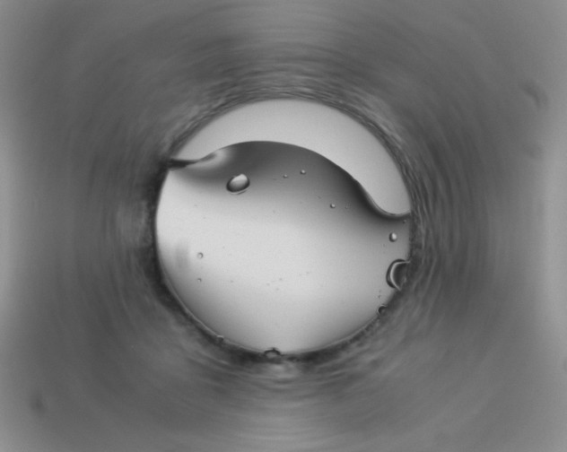 X0000113590411200910091504