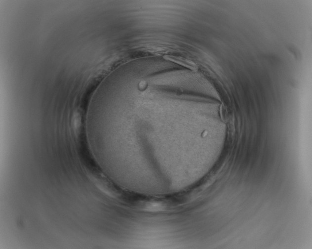 X0000113590412200910091503