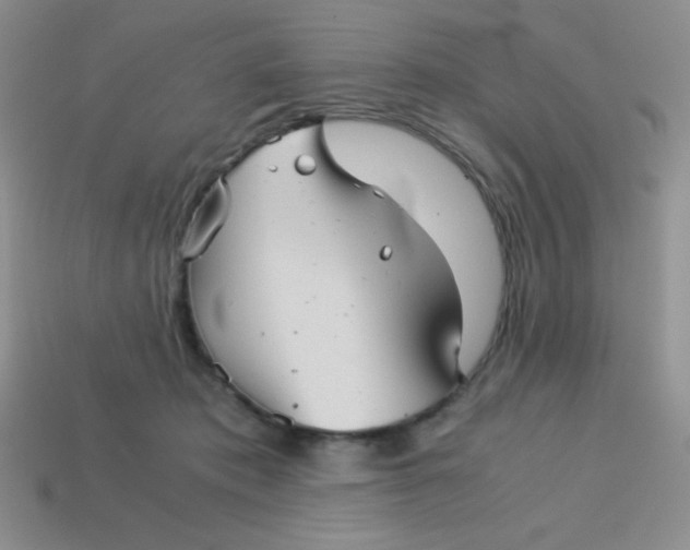 X0000113590413200910091503