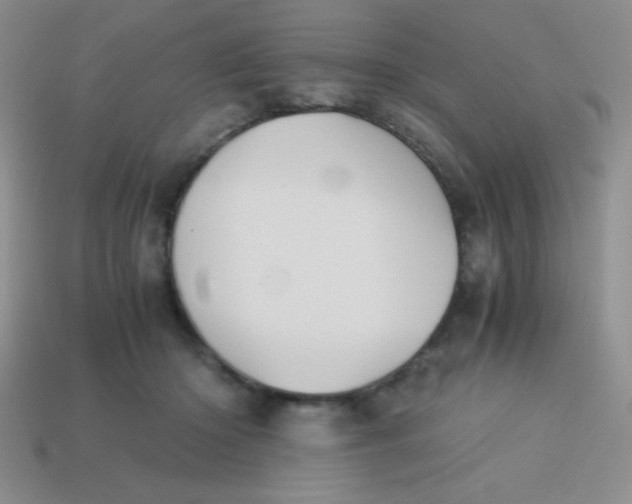 X0000113590414200910091503