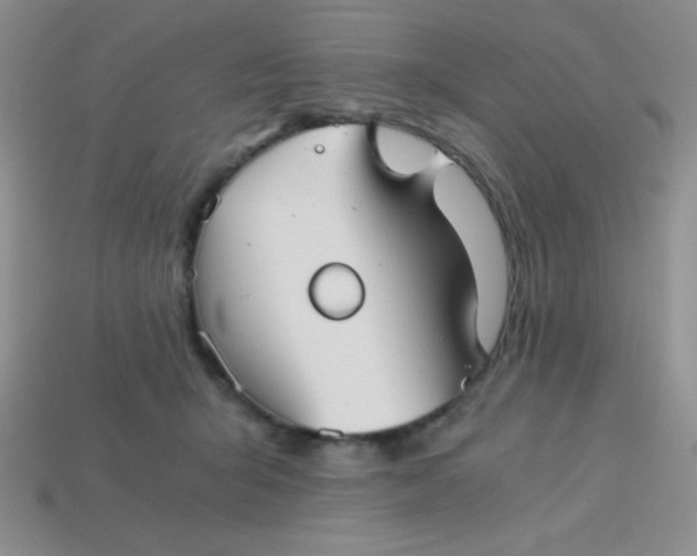 X0000113590415200910091503