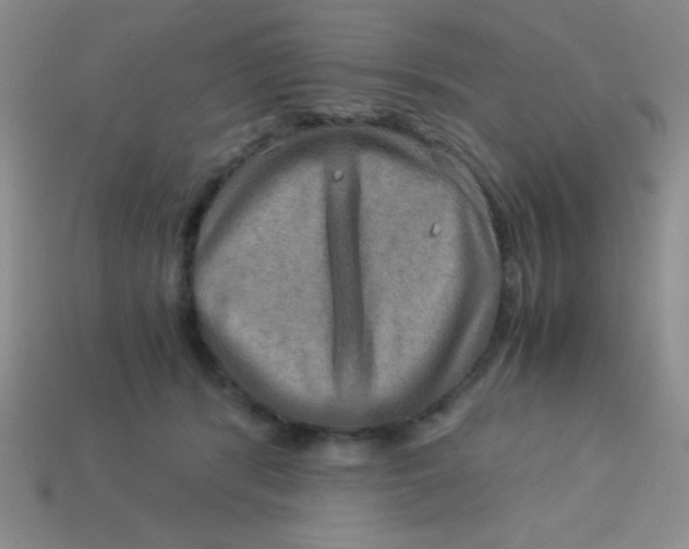 X0000113590416200910091503