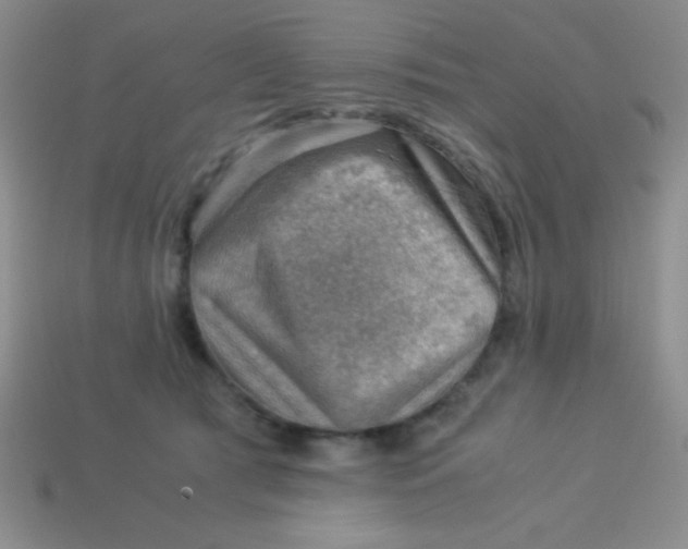 X0000113590417200910091503