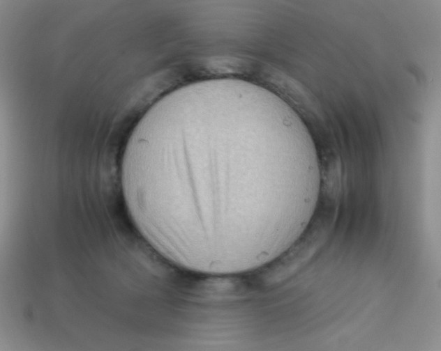 X0000113590418200910091503