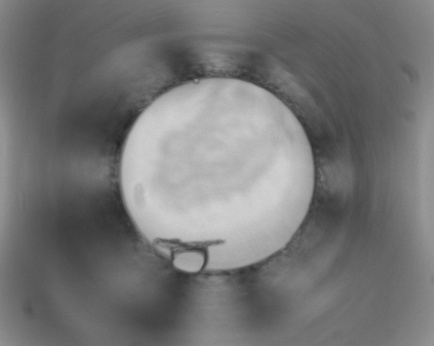 X0000113590419200910091503