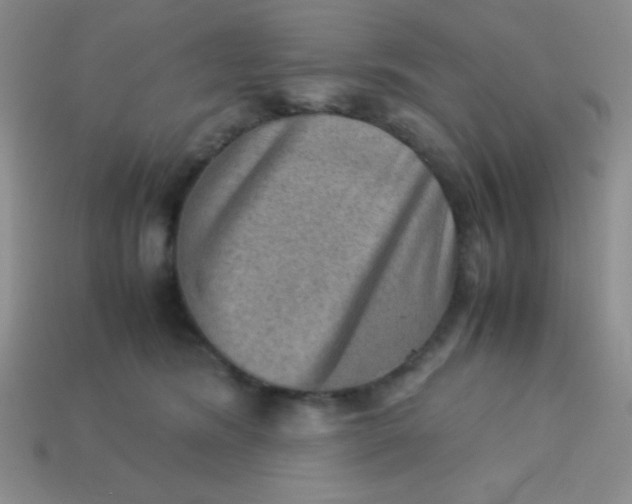 X0000113590420200910091503