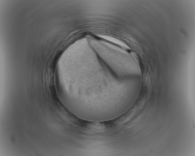 X0000113590421200910091503