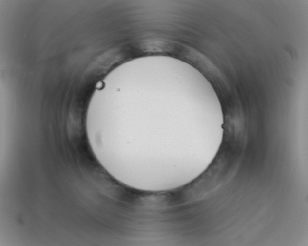 X0000113590422200910091503