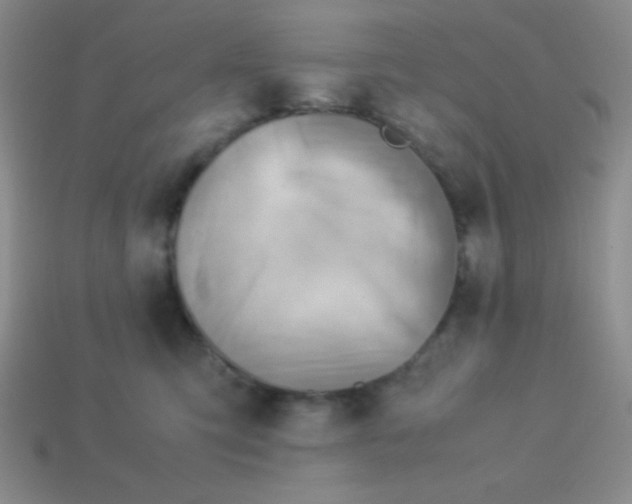 X0000113590423200910091503