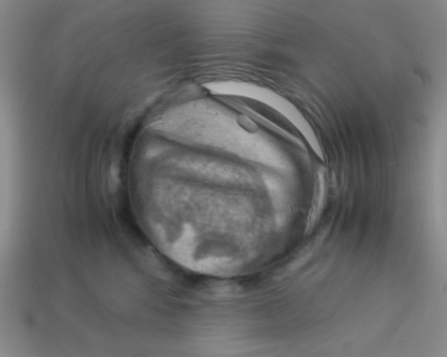 X0000113590424200910091503