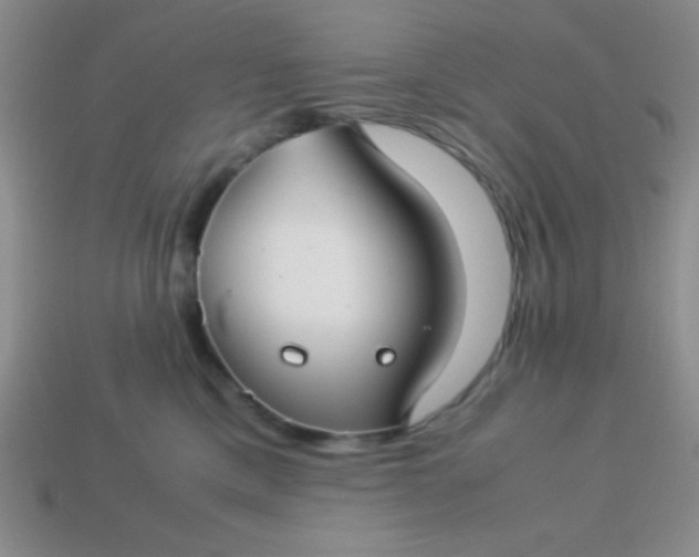 X0000113590425200910091503