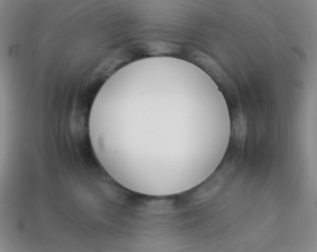 X0000113590426200910091503