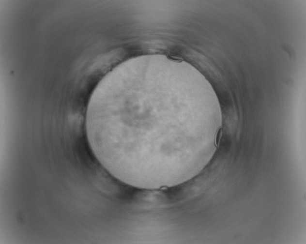 X0000113590427200910091503