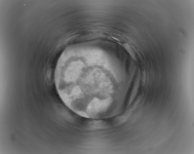 X0000113590428200910091503