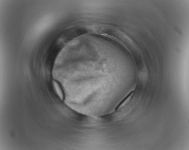 X0000113590429200910091503