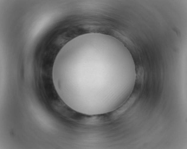 X0000113590430200910091503