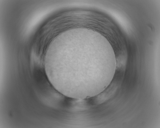 X0000113590431200910091503