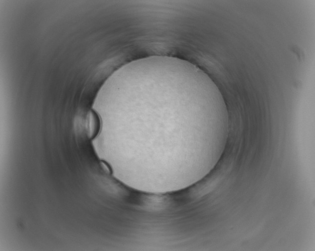 X0000113590432200910091503