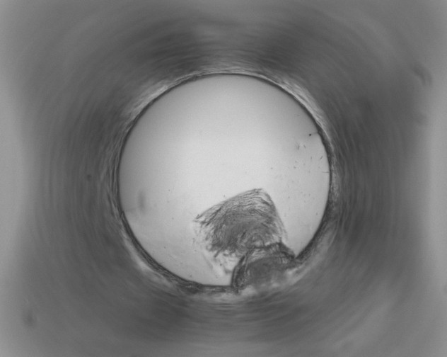 X0000113590433200910091503