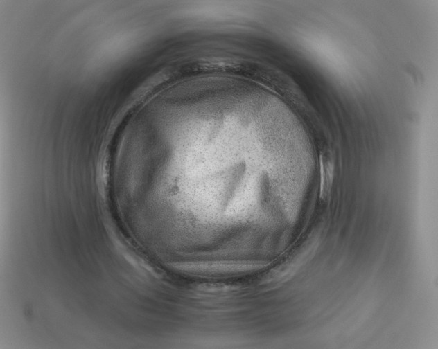 X0000113590435200910091503