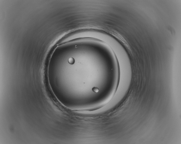 X0000113590436200910091503