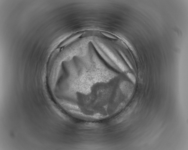 X0000113590437200910091503