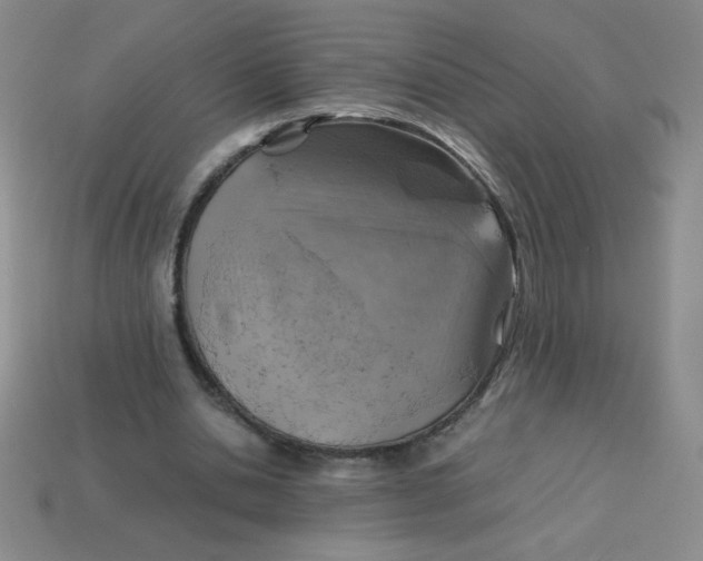 X0000113590438200910091503