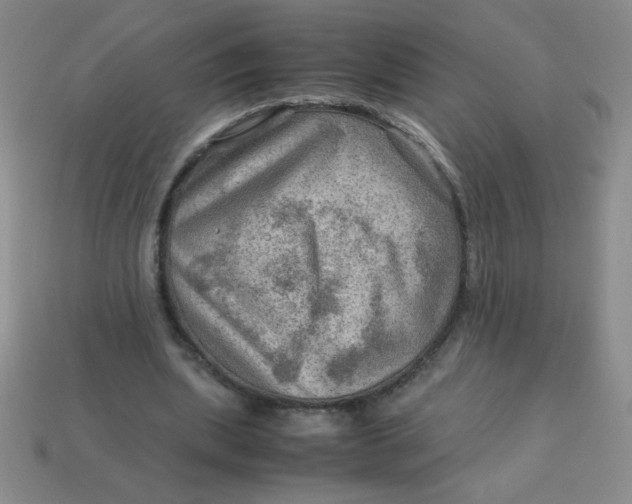 X0000113590439200910091503