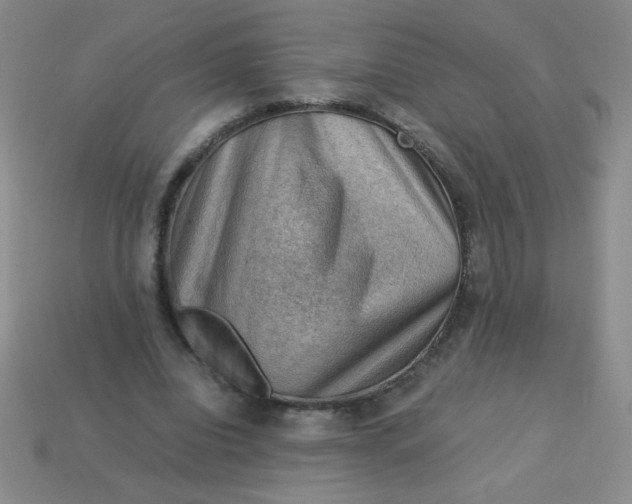 X0000113590440200910091503