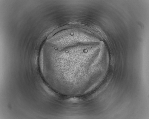 X0000113590441200910091503