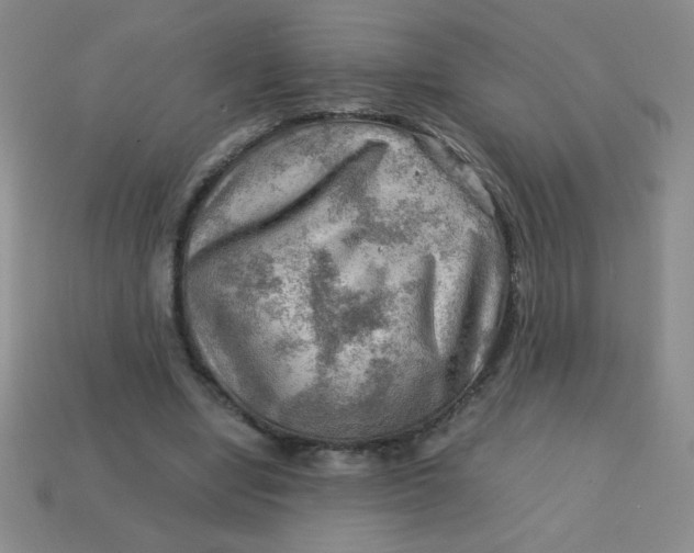 X0000113590442200910091503