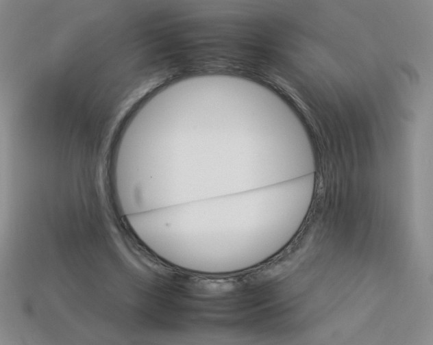 X0000113590443200910091503