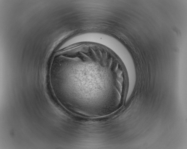 X0000113590444200910091503