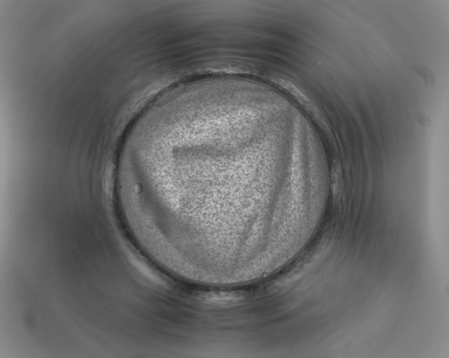 X0000113590445200910091503