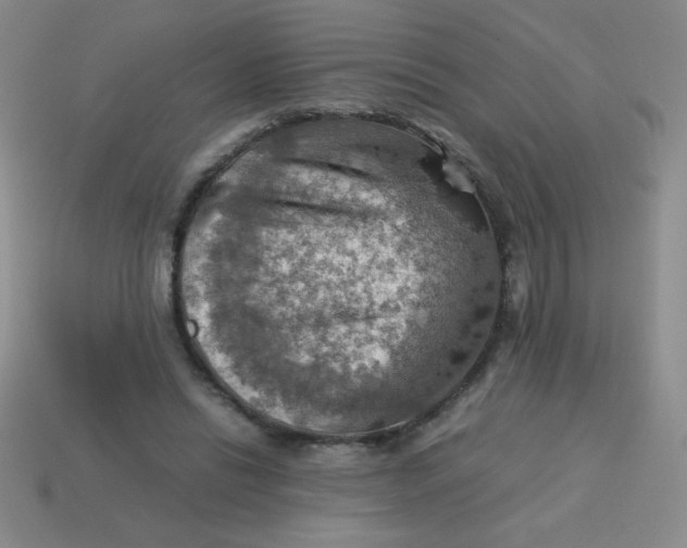 X0000113590446200910091503