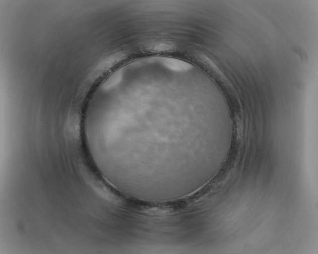 X0000113590447200910091503