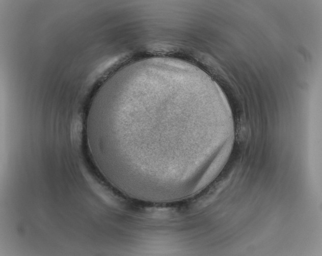 X0000113590448200910091503