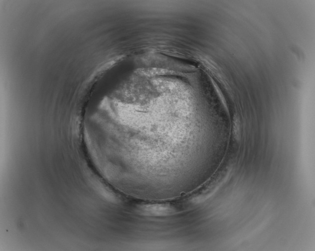 X0000113590449200910091503