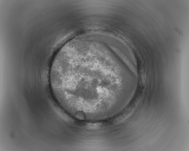 X0000113590450200910091503