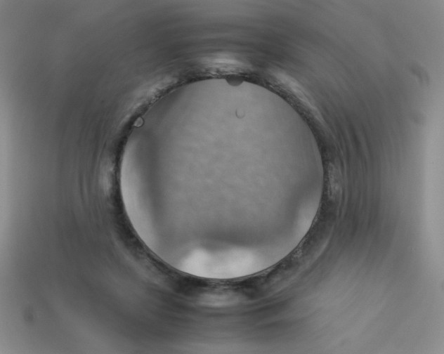 X0000113590451200910091503